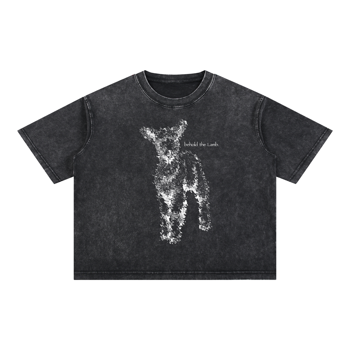 BTL Mineral Wash Tee